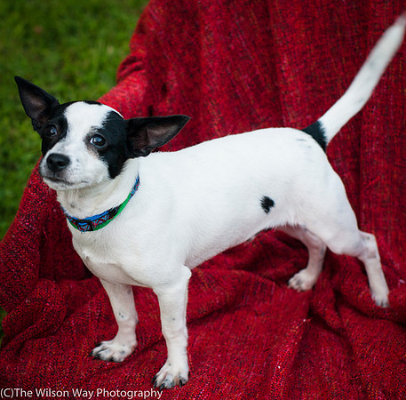 Foster Alfred-3717