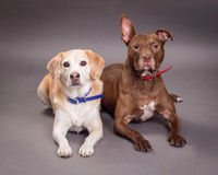 Red and Max Griner-7590