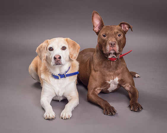 Red and Max Griner-7590