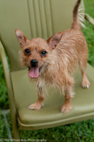 Foster Harry-3610
