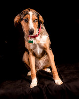 Foster Elluna-1177