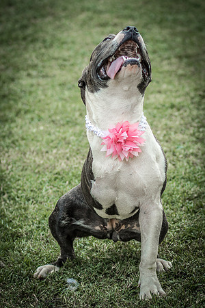 Foster Maya-0317