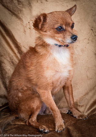 Foster Reggae-9626