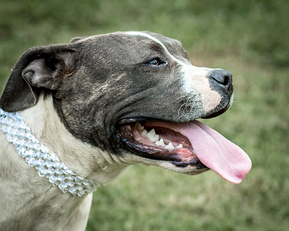 Foster Maya-0357