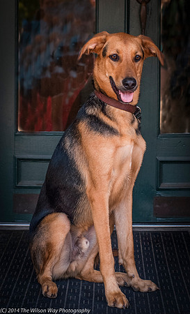 Foster Caesar-9392