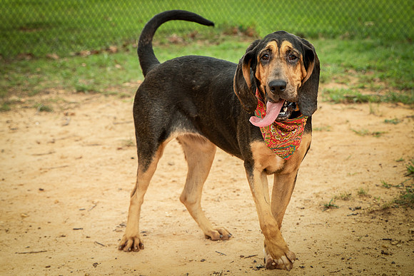 Jethro-0845