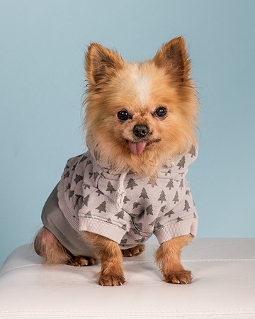 Foster Horace-0934