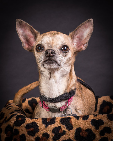 Foster Selina-1164