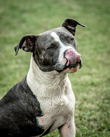 Foster Maya-0383