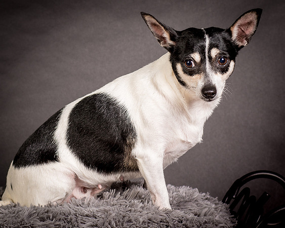 Foster Richa-0472
