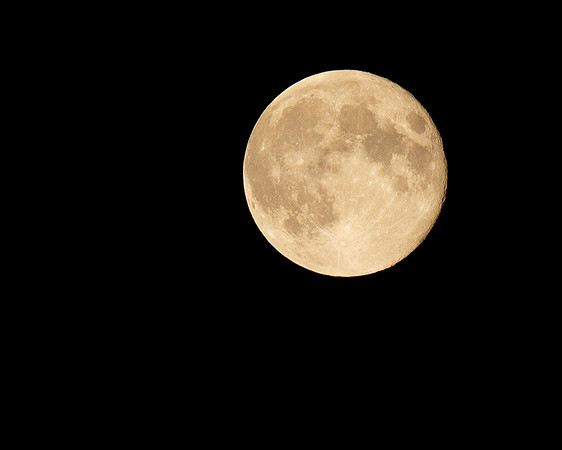 Moon-6694