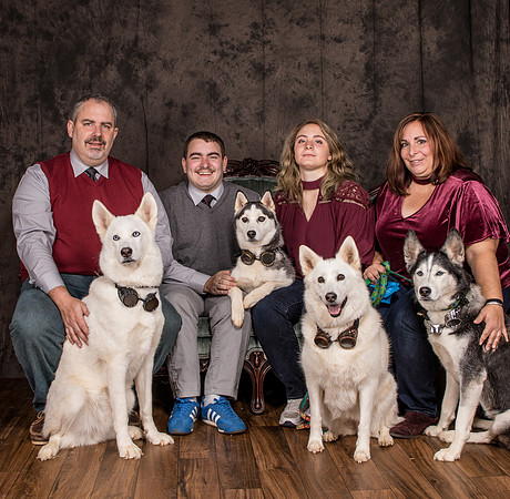 Dogs-2998
