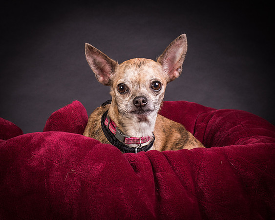 Foster Selina-1120