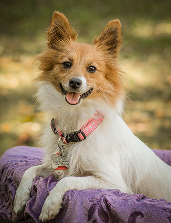 Foster Brandi-3226