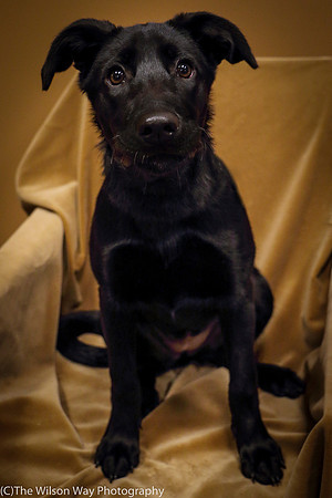 Foster Nadirah-0543