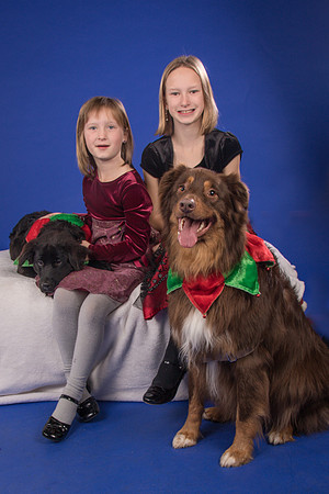 Melton-Hobble and Daisy-4595