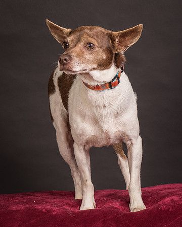 Foster Gus-0361