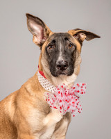Foster Gabby-3966