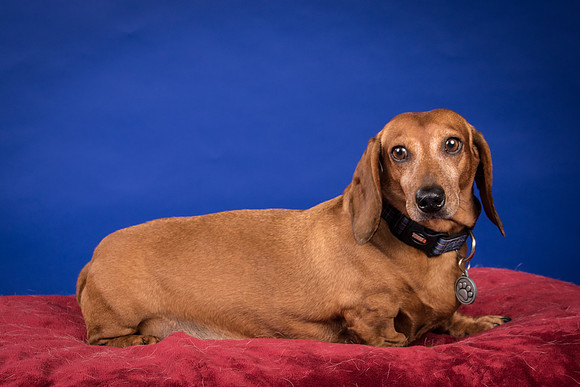 Abrams-Jimmy Dean-8207