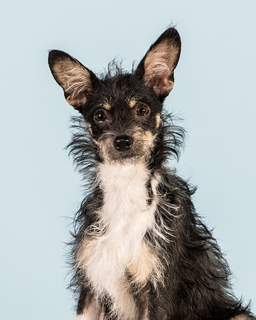 Foster Riley-5045