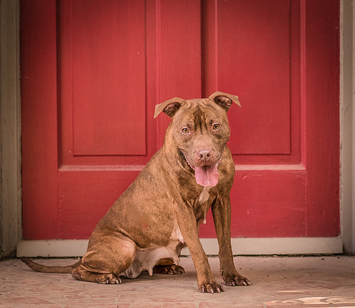 Foster Coco-8139