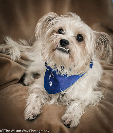 Foster Ricky-9050