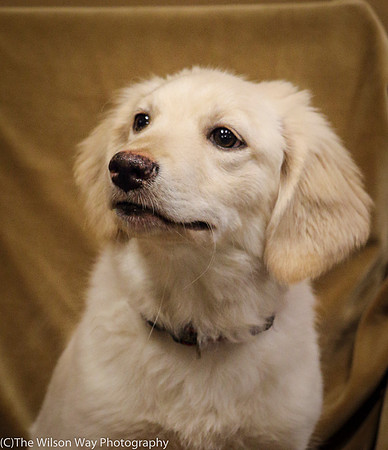 Foster Stephanie-0422