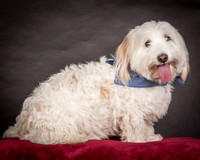 Foster Frosty-0550
