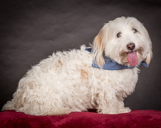 Foster Frosty-0550