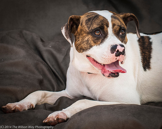 Foster Mikell-2538