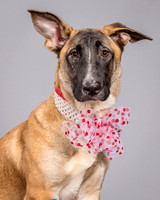 Foster Gabby-3976