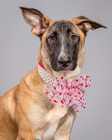 Foster Gabby-3976