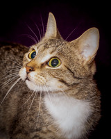 Foster Danni-9537