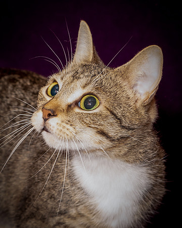 Foster Danni-9537