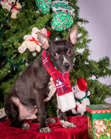 Foster Seymour-3652