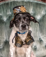 Foster Billie-8155