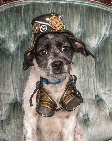 Foster Billie-8155