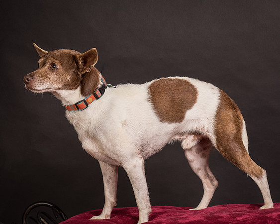 Foster Gus-0365