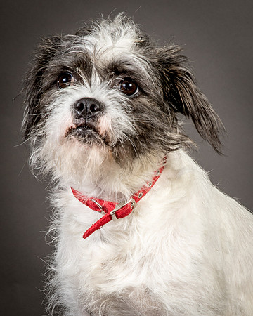 Foster Leeza-2655