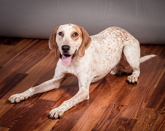 Foster Memphis-3128