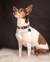 Foster Gus-0305