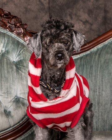 Foster Oakland-5543