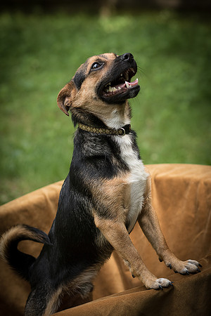 Foster Calvin-0878
