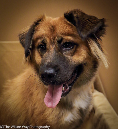 Foster Blair-0631