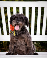 Hudson-9389