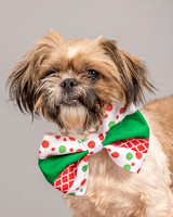 Foster Toffee-4608