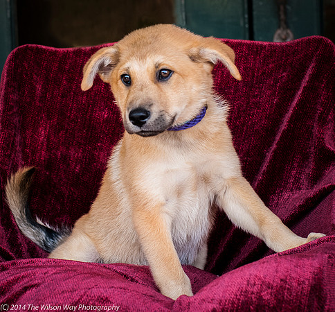 Foster Luca-9031