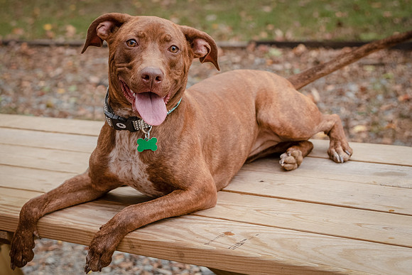 Foster Caitlyn4840