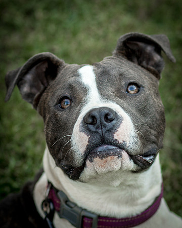 Foster Maya-0257
