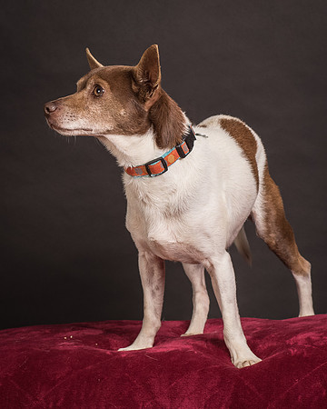 Foster Gus-0378